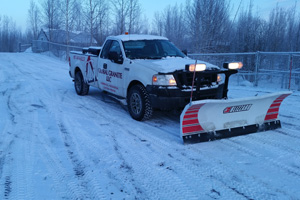 Palmer Snow Plowing